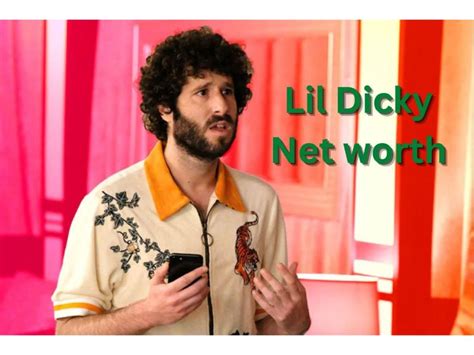 what is lil dicky net worth|Lil Dicky Net Worth: An In